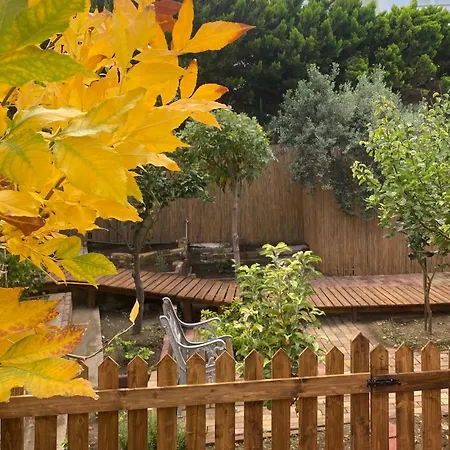 Hotel Sunside Karpasa